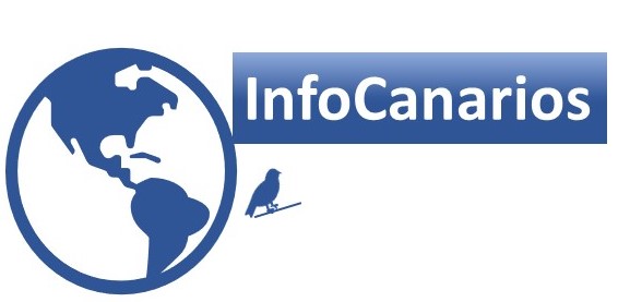 INFOCANARIOS